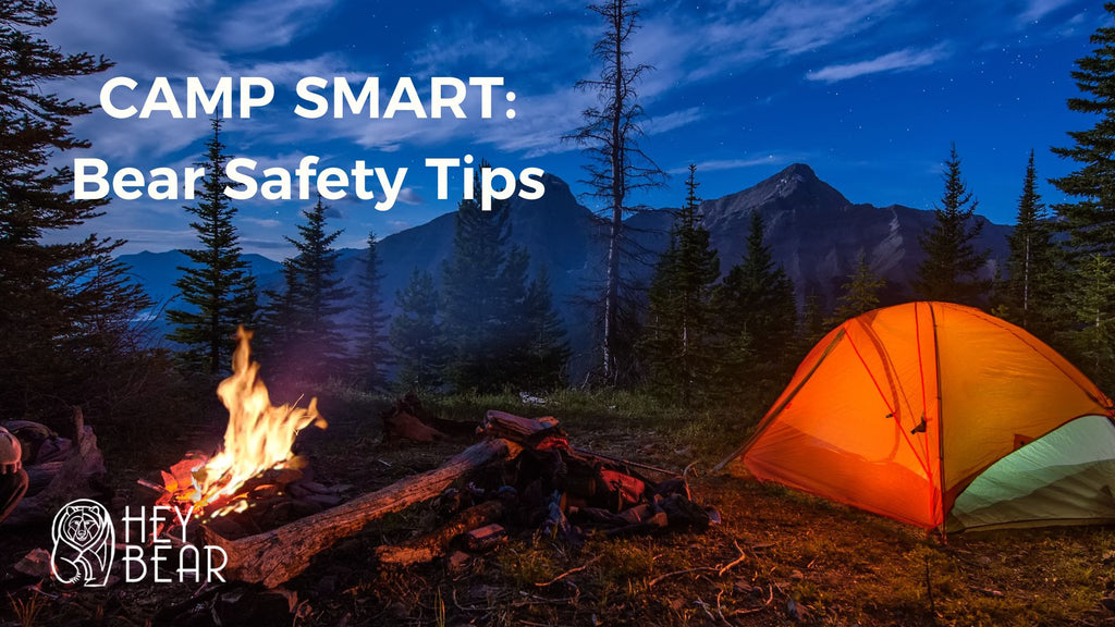 Camp Smart in Bear Country: Safety Tips