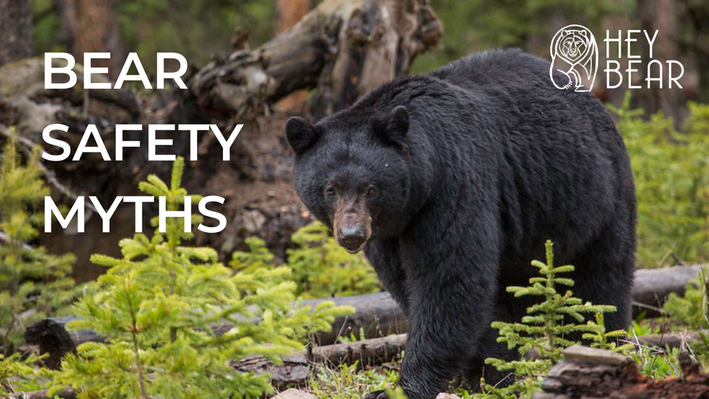 Bear Safety Myths