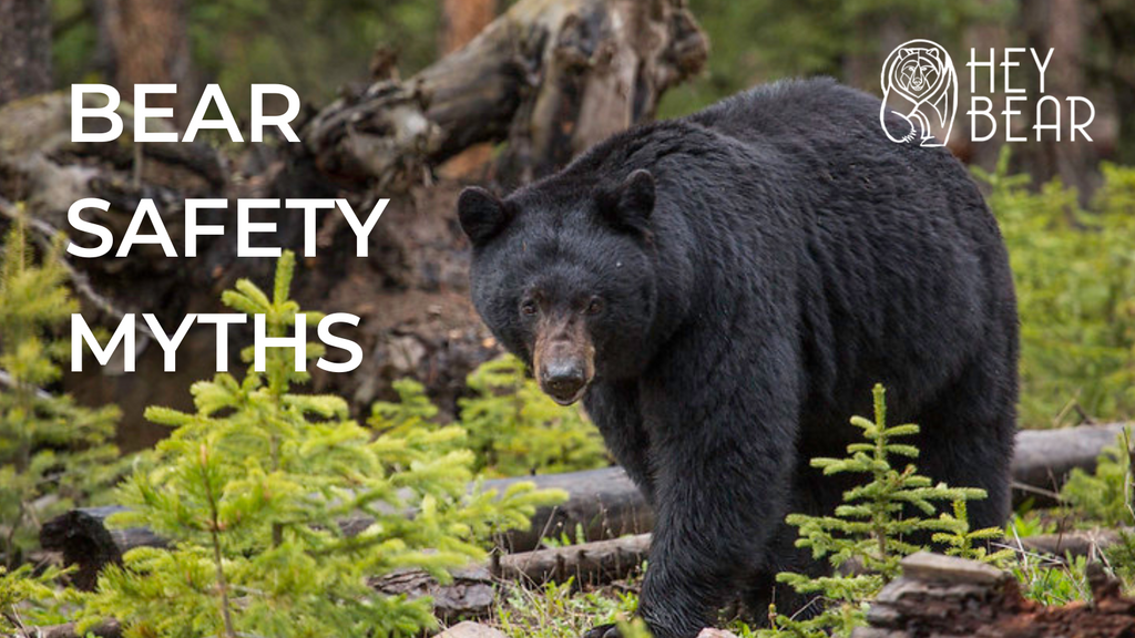 Bear Safety Myths Hey Bear Bear safety myths hey bear
