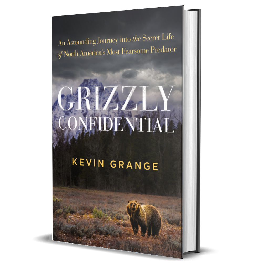 Bear Necessities: Big Sky Community Library hosts author Kevin Grange