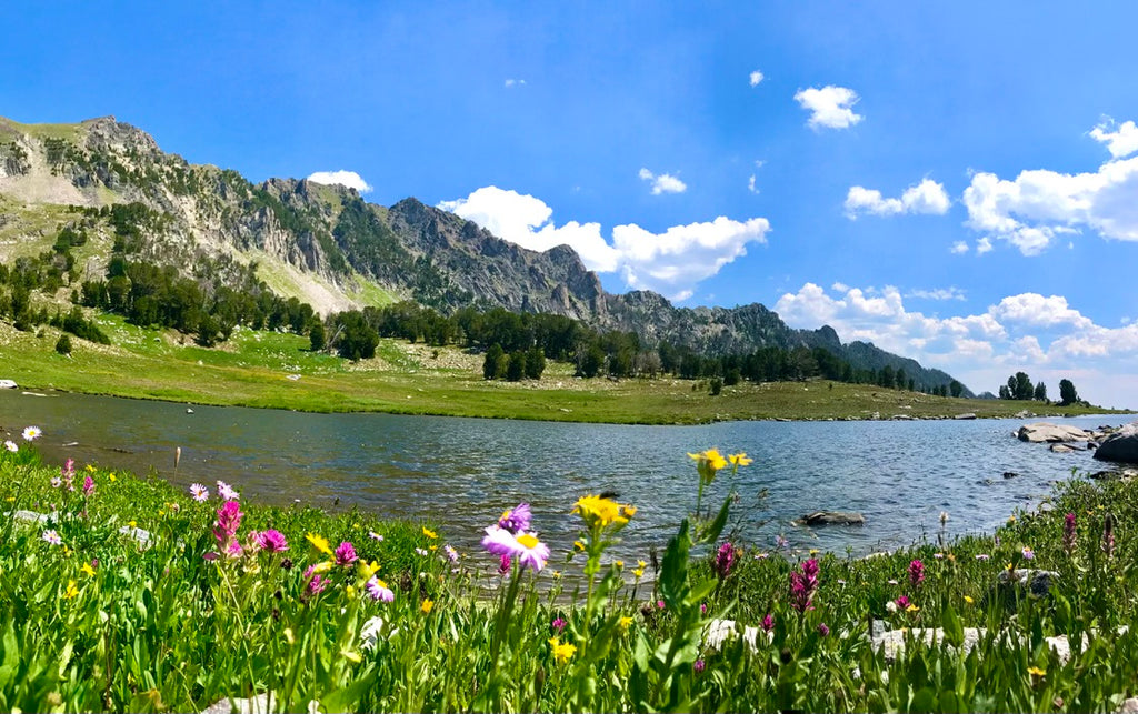 Our Favorite Hiking Trails in Big Sky, MT