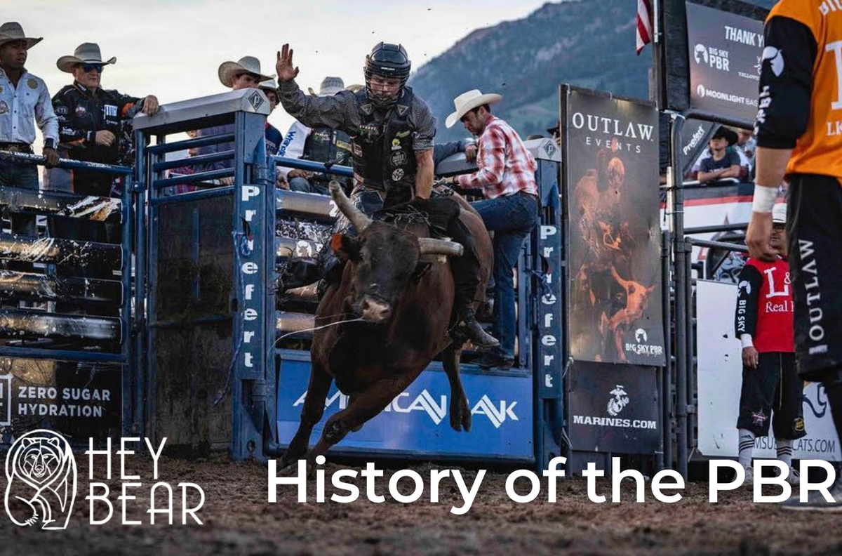History of the PBR | Hey Bear