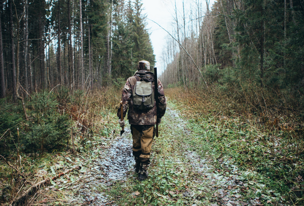 FWP to host virtual bear safety training events for hunters