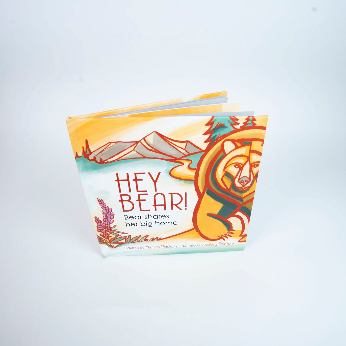 Hey Bear Kids Book | Hey Bear