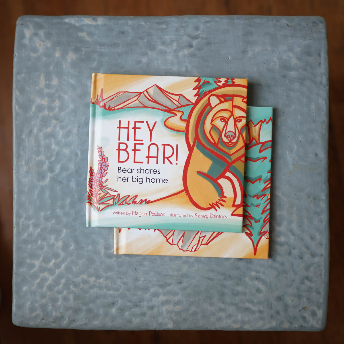 Hey Bear Kids Book | Hey Bear